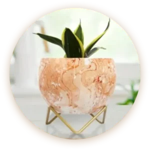 Home Decor - Indigenex Global - Indian Handicrafts Exporter